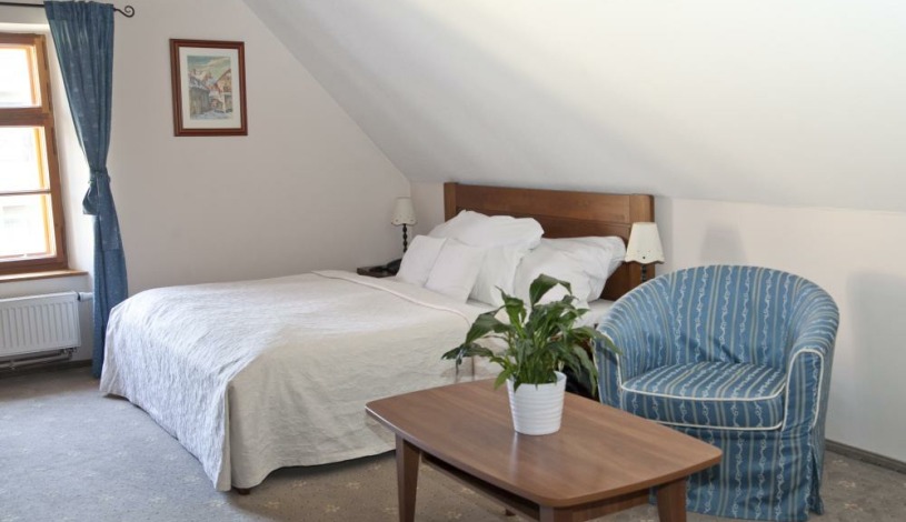 Hotel U Zlatého Lva Havlíčkův Brod - Dvoulůžkový pokoj s výhledem do dvora, Jednolůžkový pokoj 